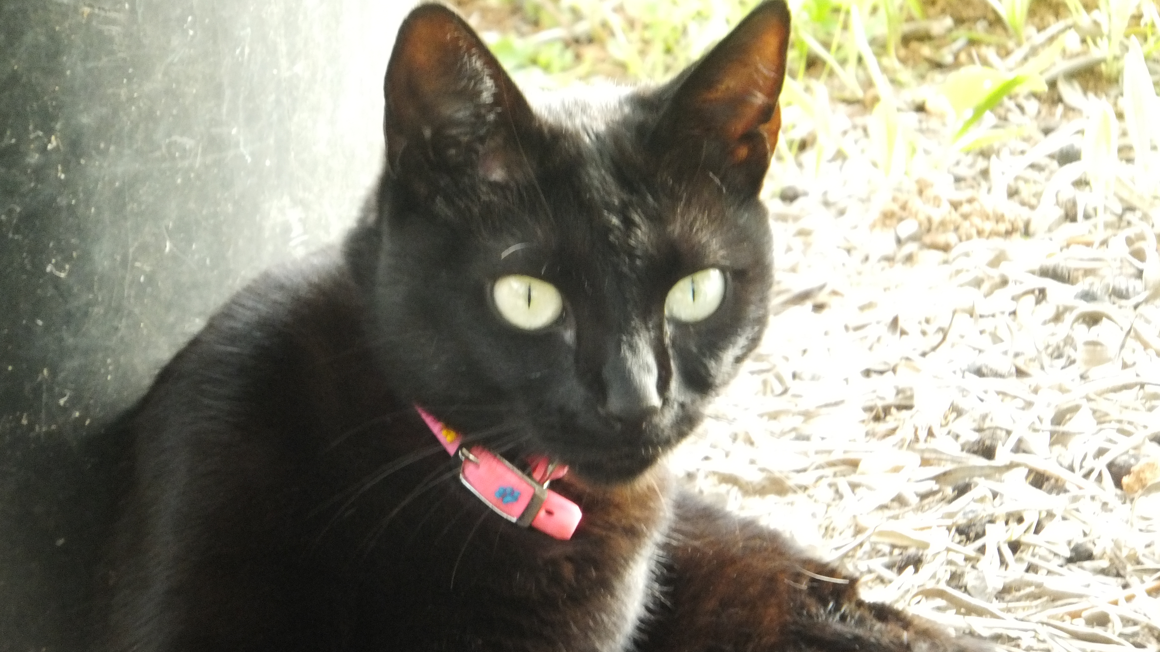 "Estar contigo o no estar contigo es la medida de mi tiempo." #Mallorca