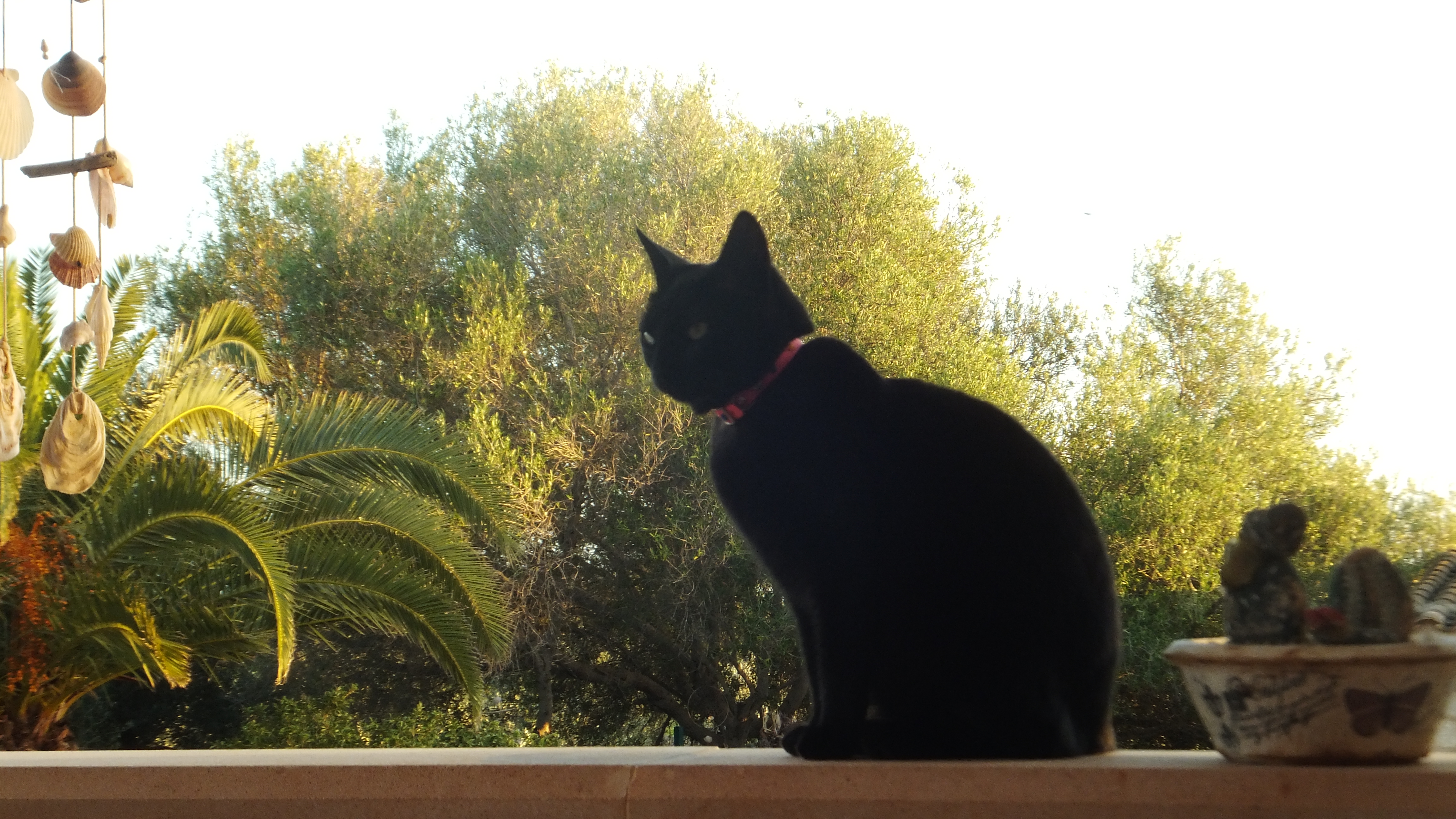 "Hoy es una nueva oportunidad." #Santanyi