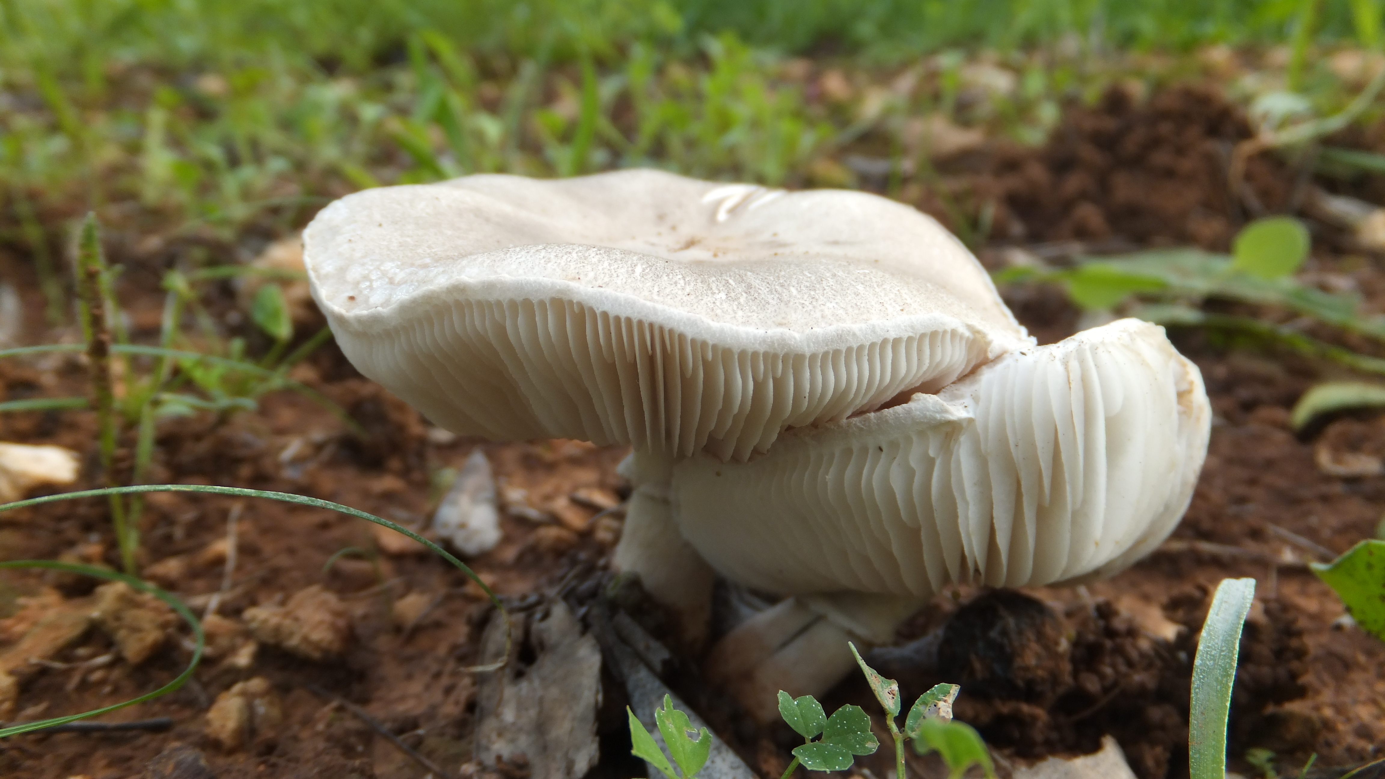 "Mi único competidor es la persona que fui ayer." #Santanyi