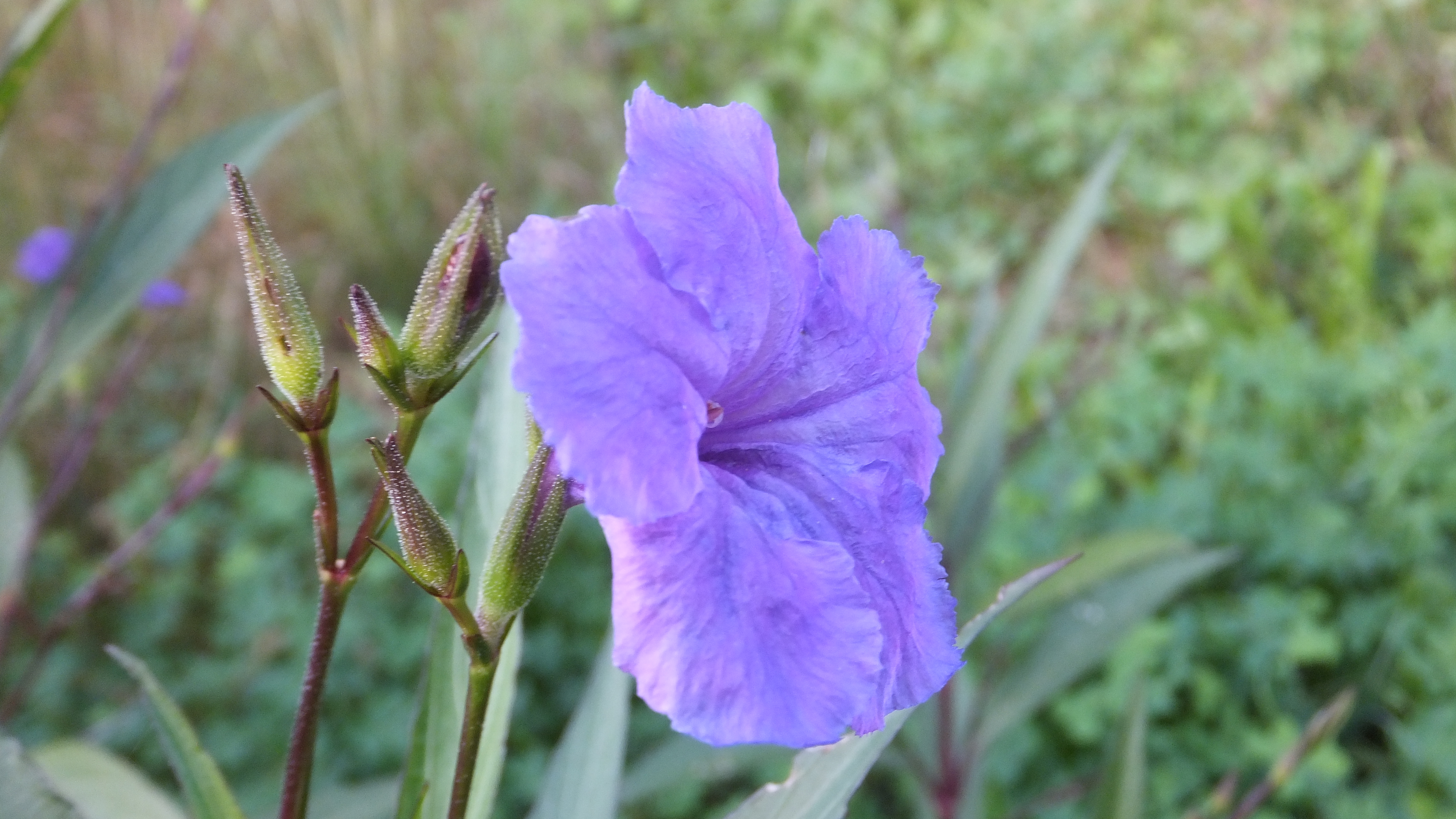 "Tu potencial es infinito, atrévete a explorarlo". #Santanyi