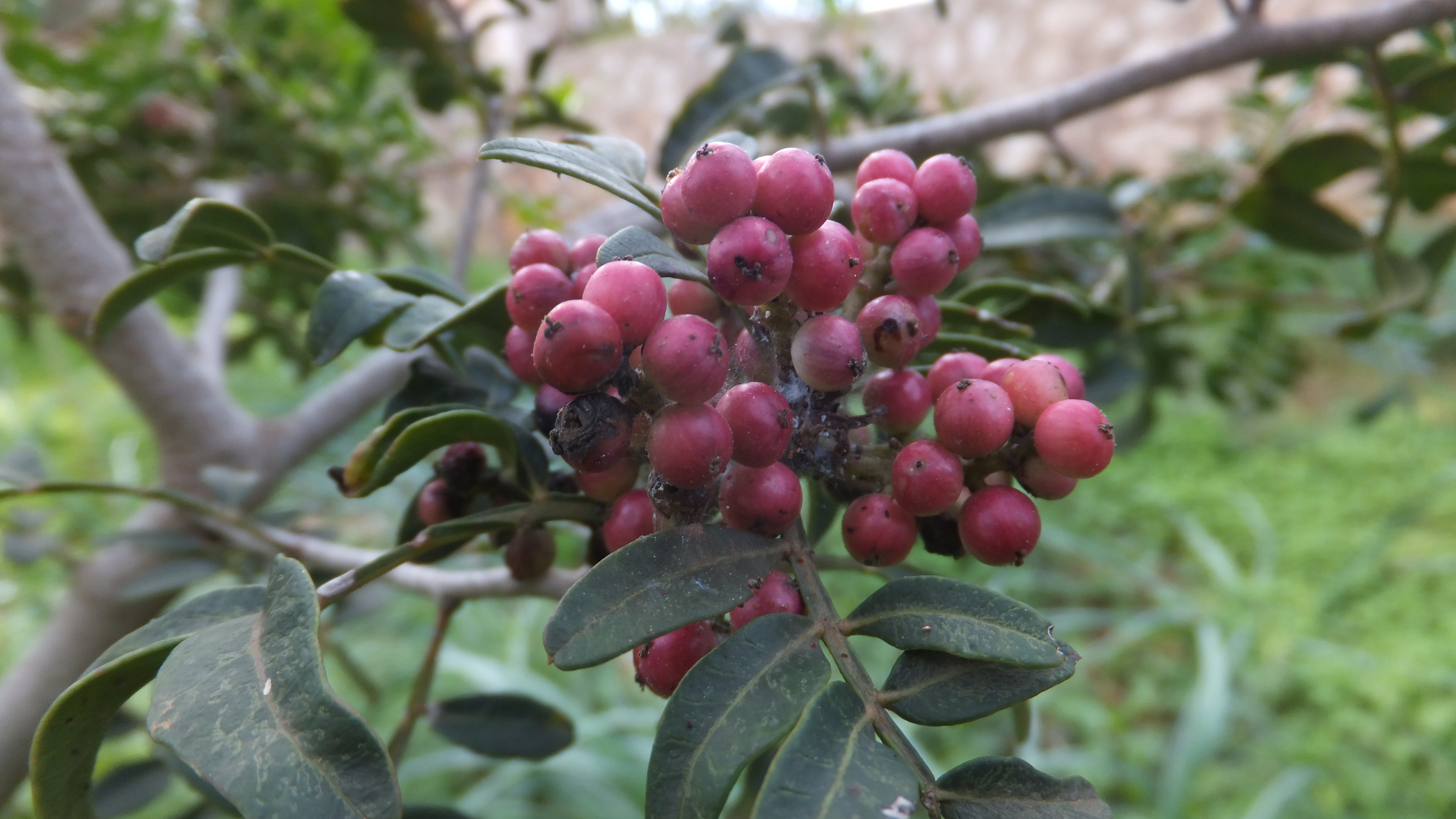 "La positividad atrae cosas buenas." #CalaDor