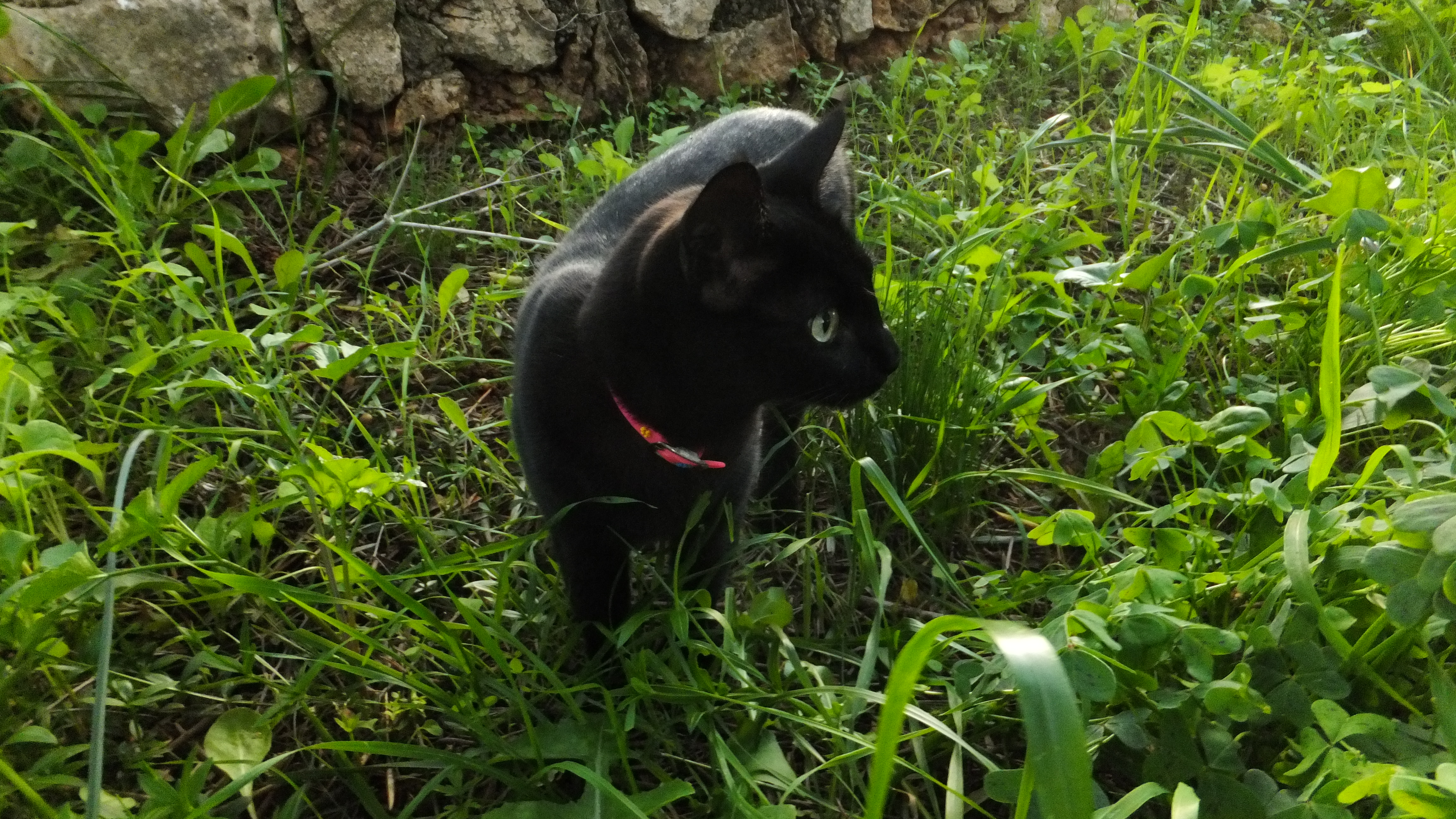 «Cuando haces feliz a otras personas, recibes más felicidad a cambio. Deberías meditar bien sobre cuánta felicidad eres capaz de dar». — Eleanor Roosevelt #Santanyi