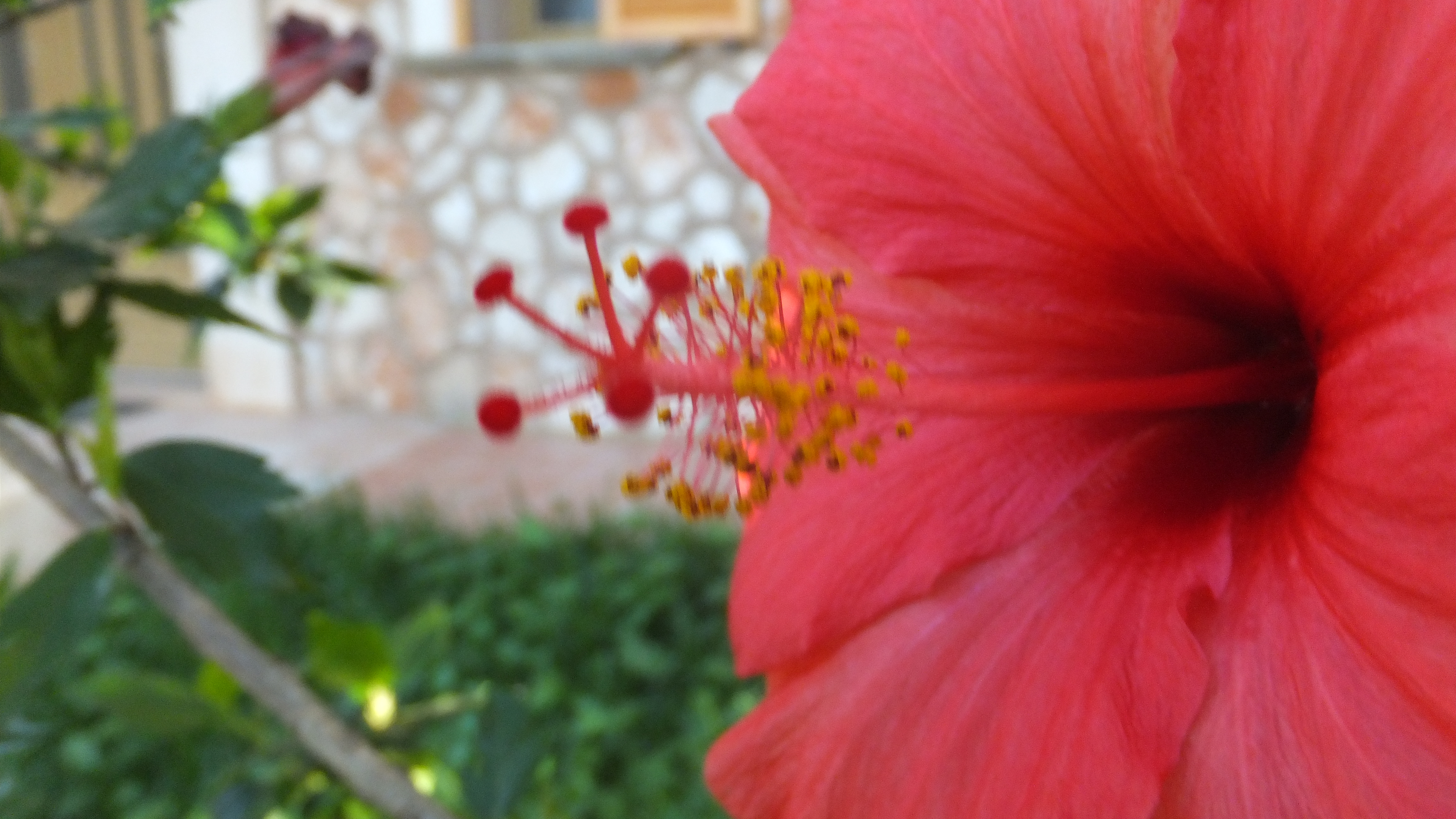 "La actitud lo es todo." #CalaDor